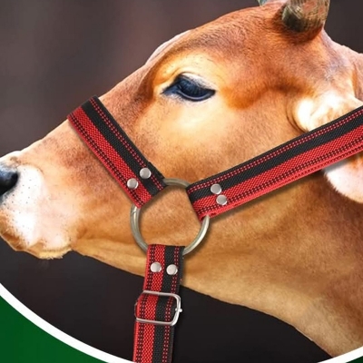 Picture of Adjustable Halter (For Cattle/Bull/Horse) -Per Piece