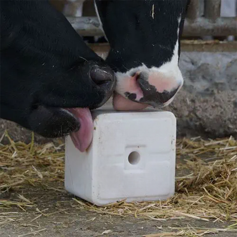 Picture of Mineral Brick 5KG