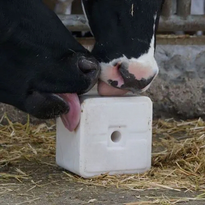 Picture of Mineral Brick 5KG