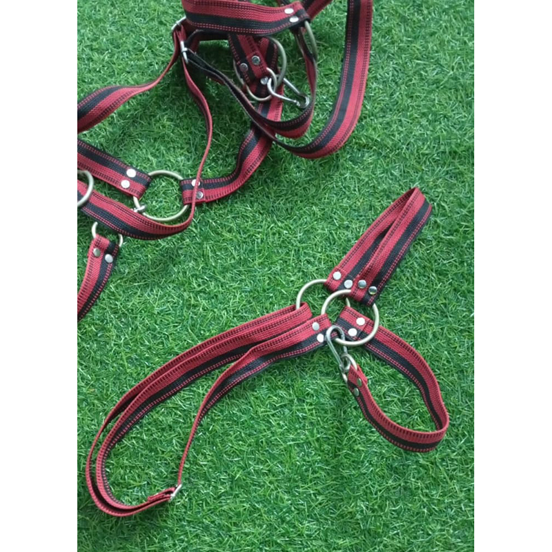 Picture of Adjustable Halter (For Cattle/Bull/Horse) -Per Piece