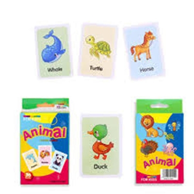 Picture of animal flash cards - Multi Color