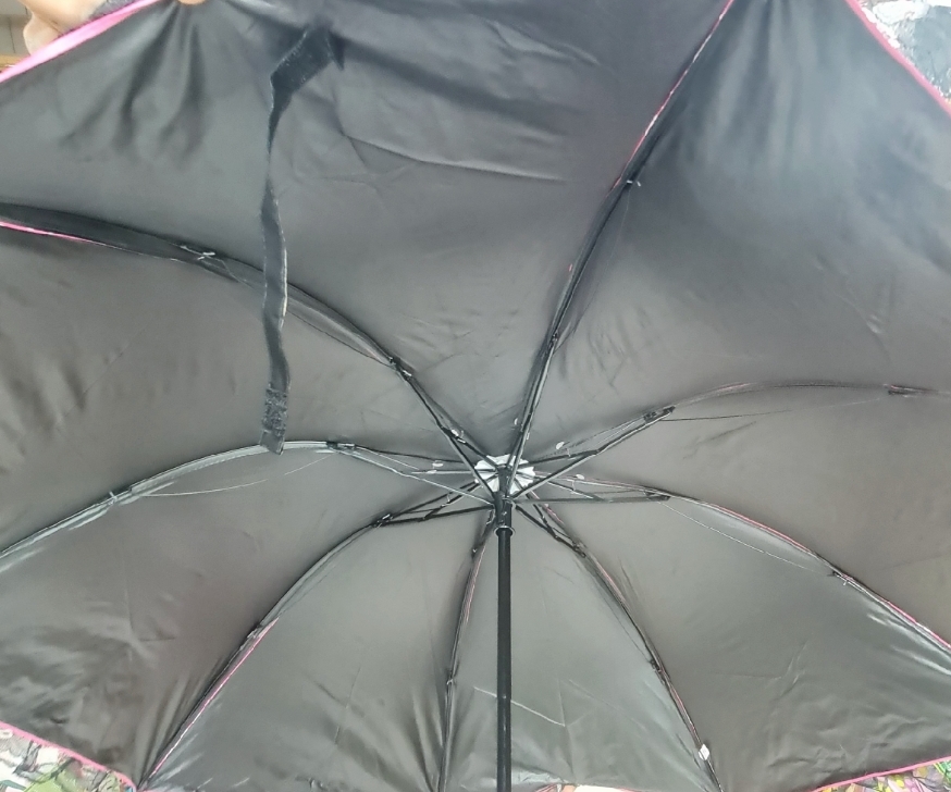 Picture of Lays design New Model Ladies Fashionable and Elegant Anti UV Sunshade umbrella