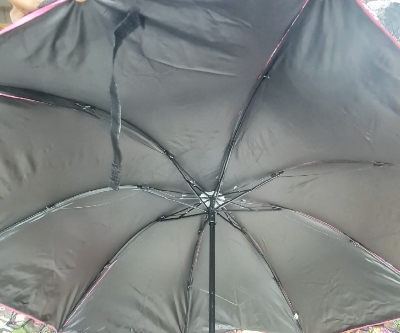 Picture of Lays design New Model Ladies Fashionable and Elegant Anti UV Sunshade umbrella