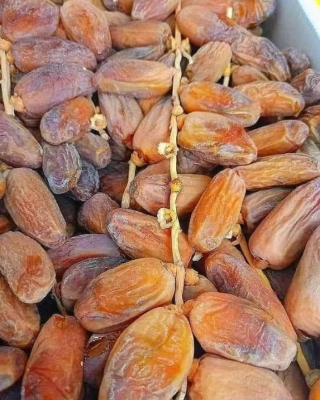 Picture of Premium Tunisian/Algerian Chora Dates 1 kg
