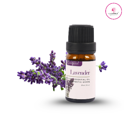 Picture of Cosprof Lavender Essential Oil 10 ml