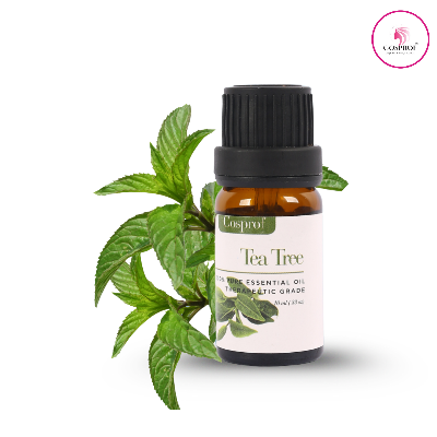 Picture of Cosprof Tea Tree Essential Oil for Aromatherapy 10 Ml