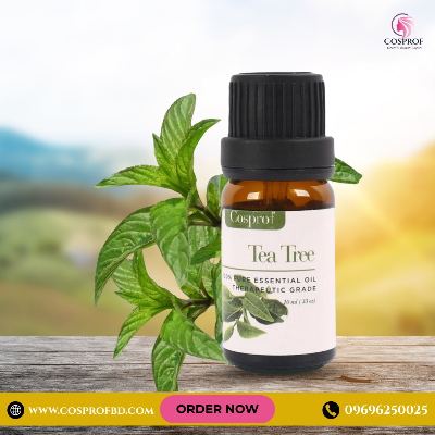 Picture of Cosprof Tea Tree Essential Oil for Aromatherapy 10 Ml