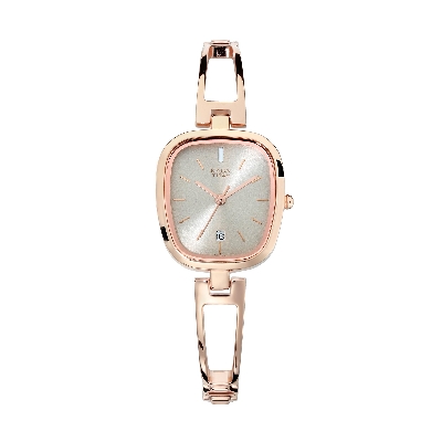 Picture of Titan Raga Viva Grey Dial Analog Watch for Women