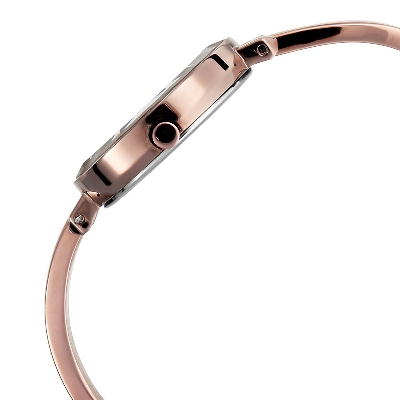 Picture of Raga Brown Dial Metal Strap Watch