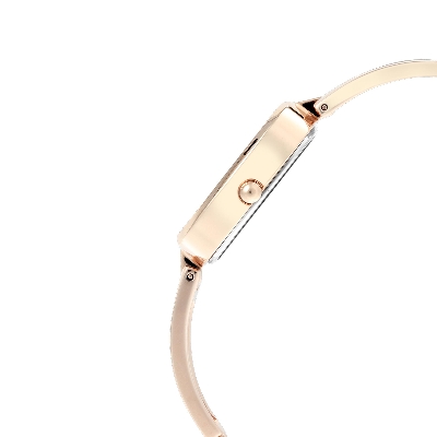 Picture of Titan Raga Viva Grey Dial Analog Watch for Women