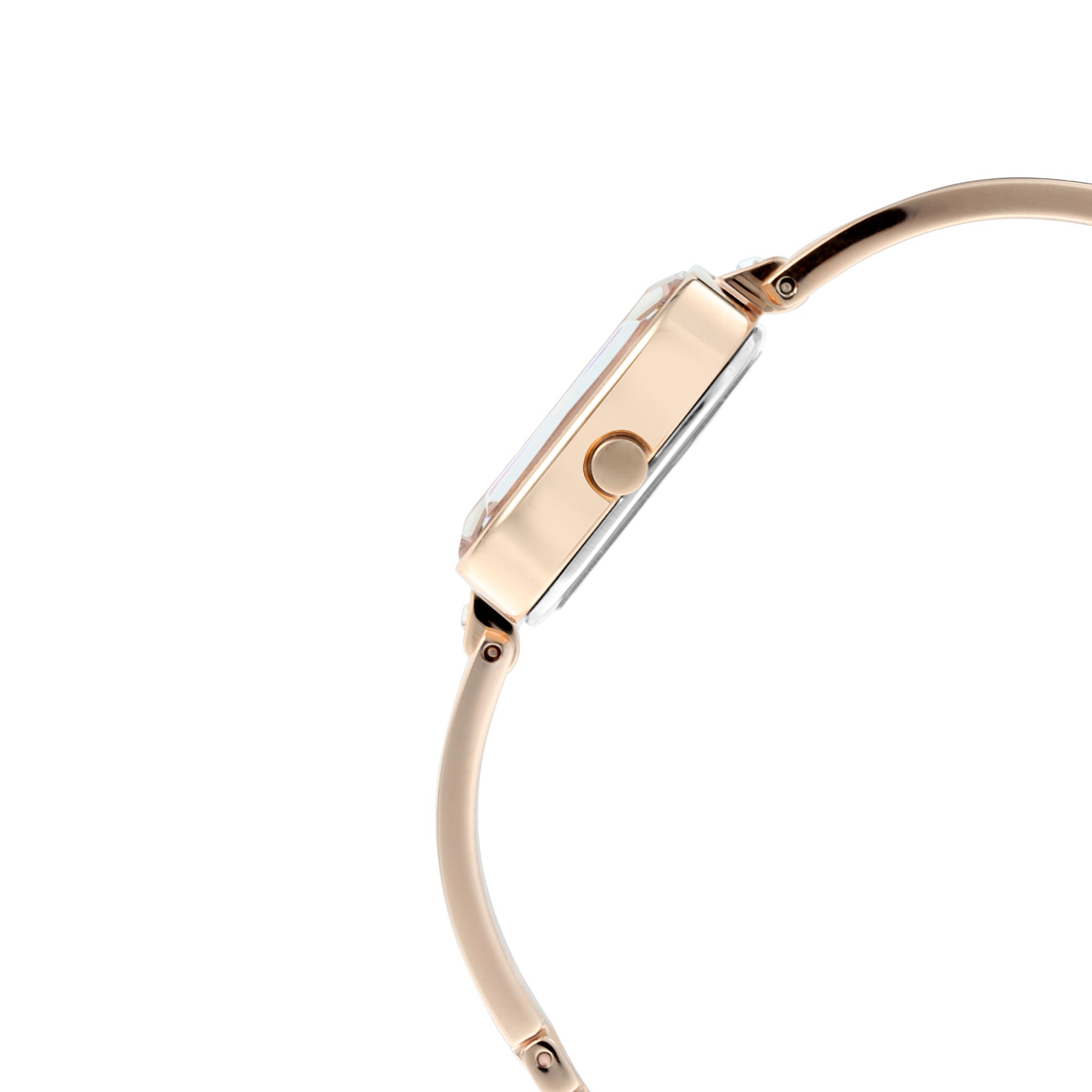 Picture of Titan Raga Viva Rose Gold Dial Analog Watch for Women