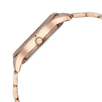 Picture of Titan Karishma Brown Dial Analog with Day and Date Stainless Steel