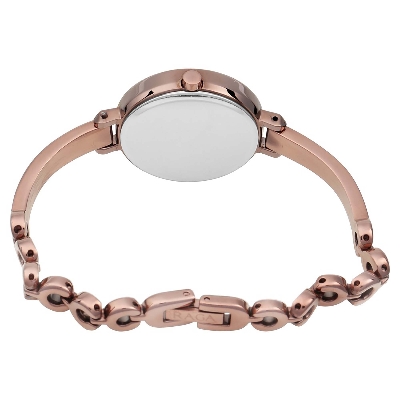 Picture of Raga Brown Dial Metal Strap Watch