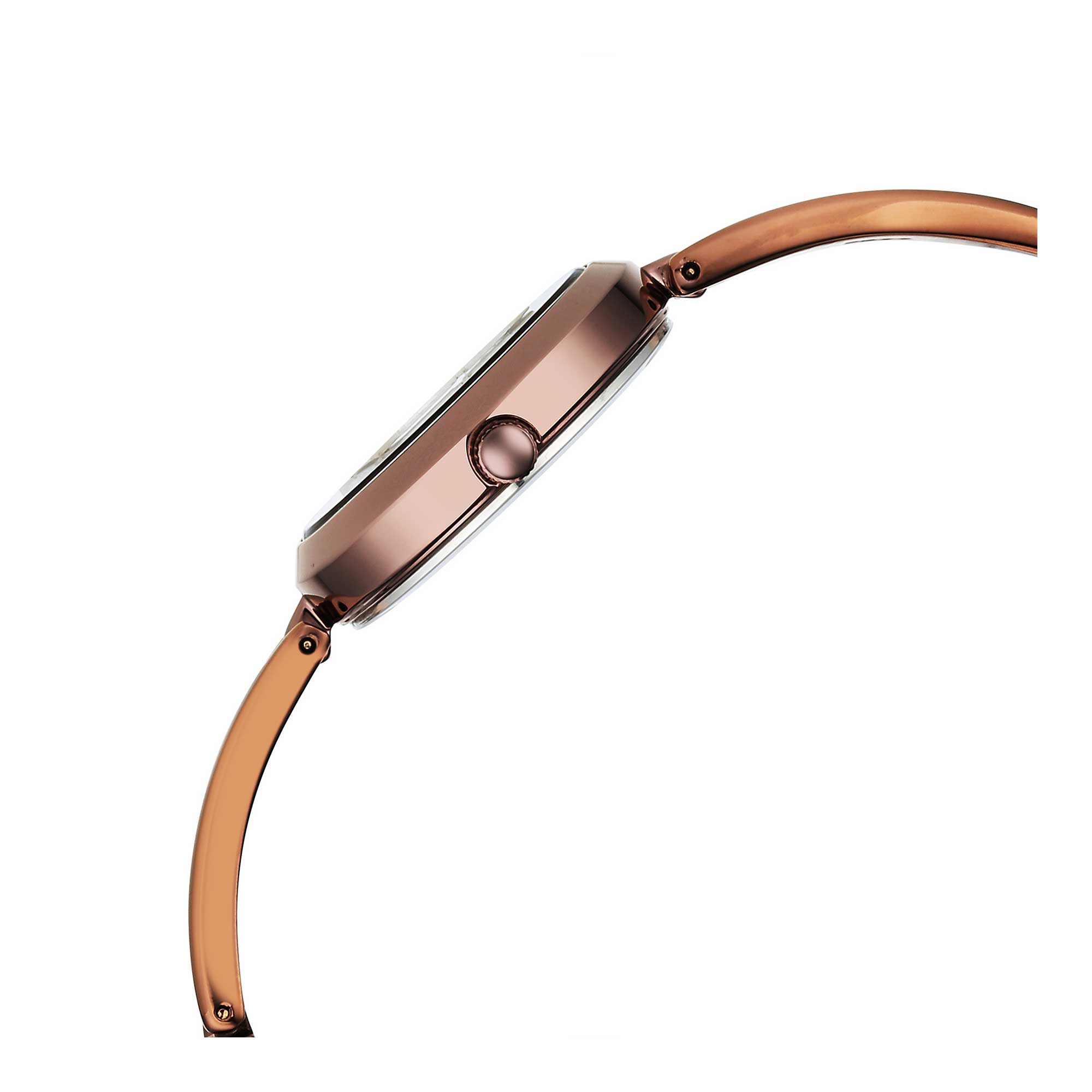 Picture of Titan Raga Viva Quartz Analog Brown Dial Brown Metal Strap Watch for Women