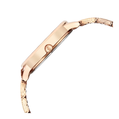 Picture of Titan Quartz Analog Rose Gold Dial Watch for Women