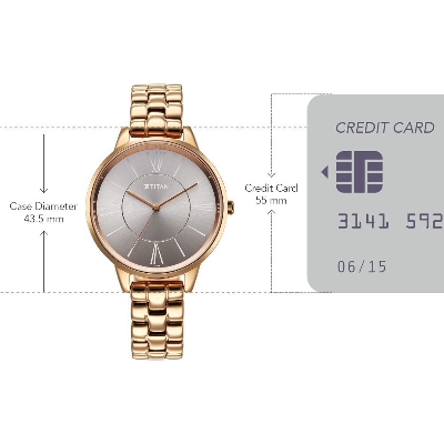 Picture of Titan Neo Quartz Analog Grey Dial Rose Gold Metal Strap Watch For Women