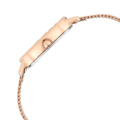 Picture of Raga Viva Brown Dial Stainless Steel Strap Watch