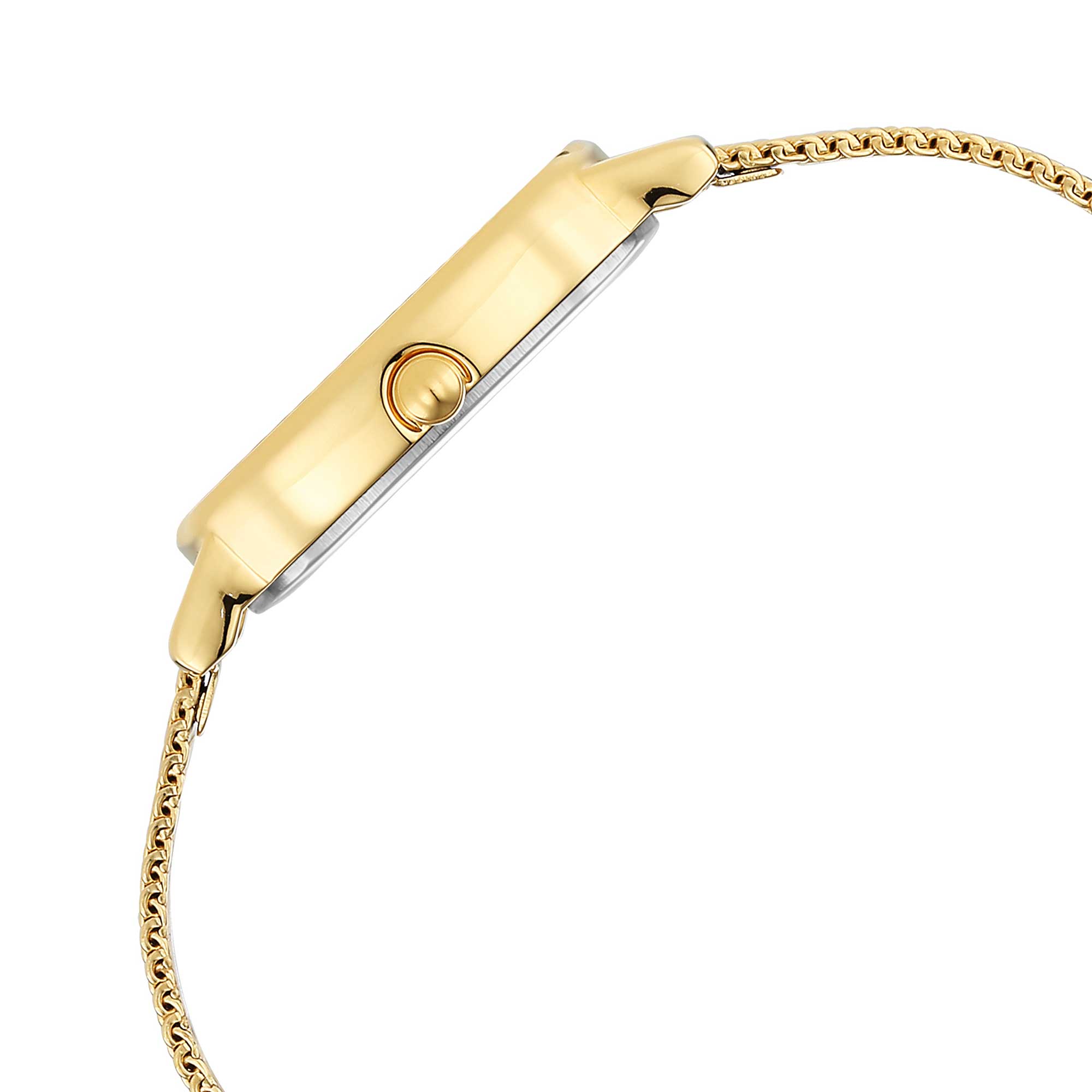 Picture of Raga Viva Champagne Dial Stainless Steel Strap Watch