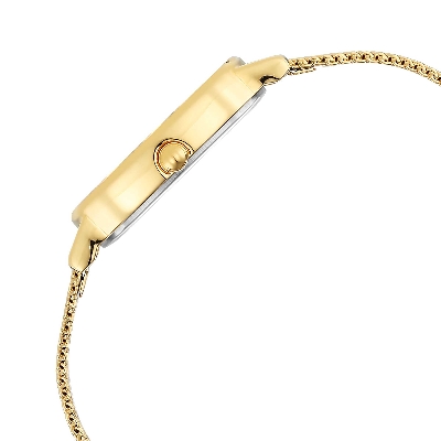 Picture of Raga Viva Champagne Dial Stainless Steel Strap Watch