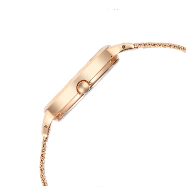 Picture of Titan Raga Power Pearls Quartz Analog Mother Of Pearl Dial Metal Strap Watch for Women