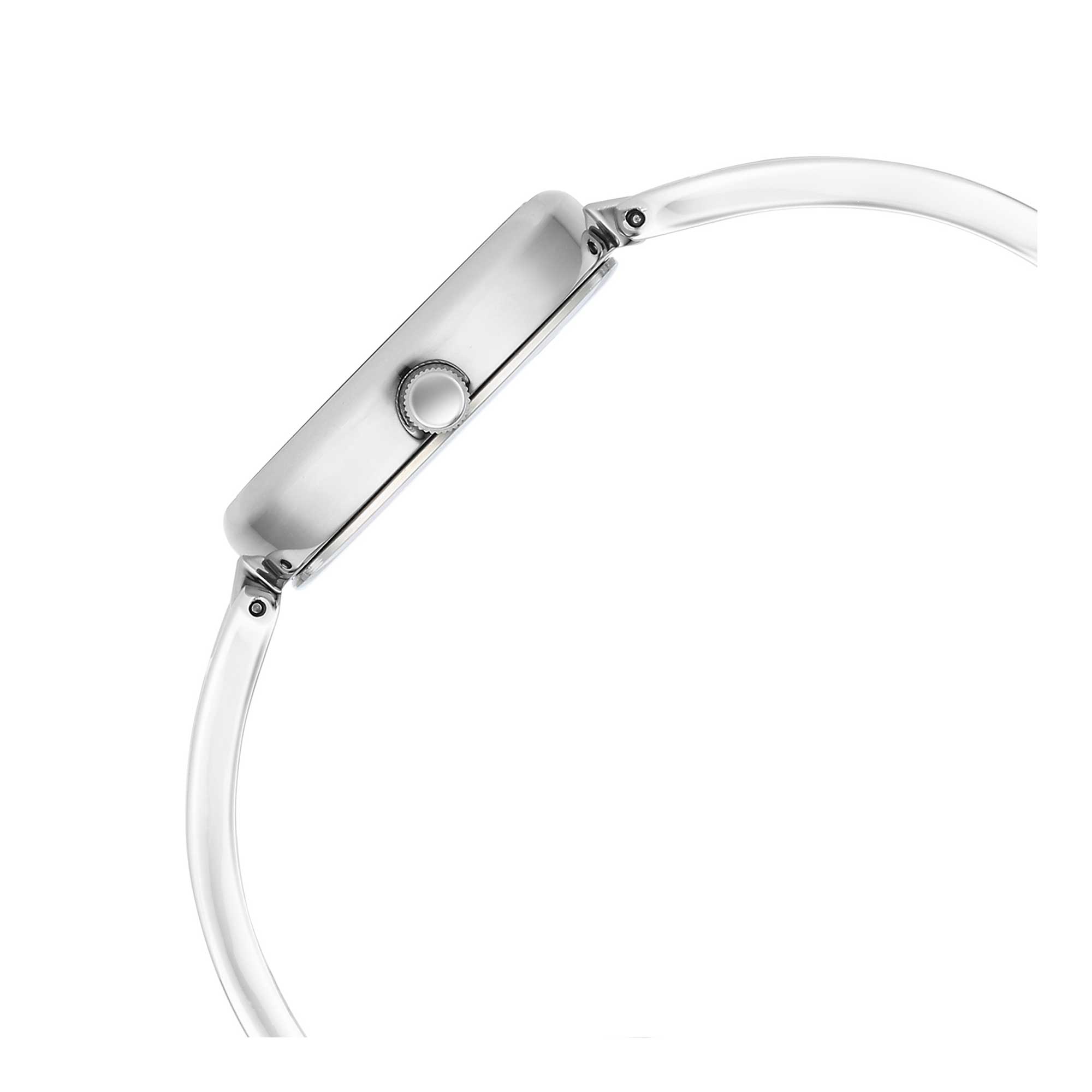 Picture of Titan Raga Viva Silver Dial Metal Strap Watch for Women