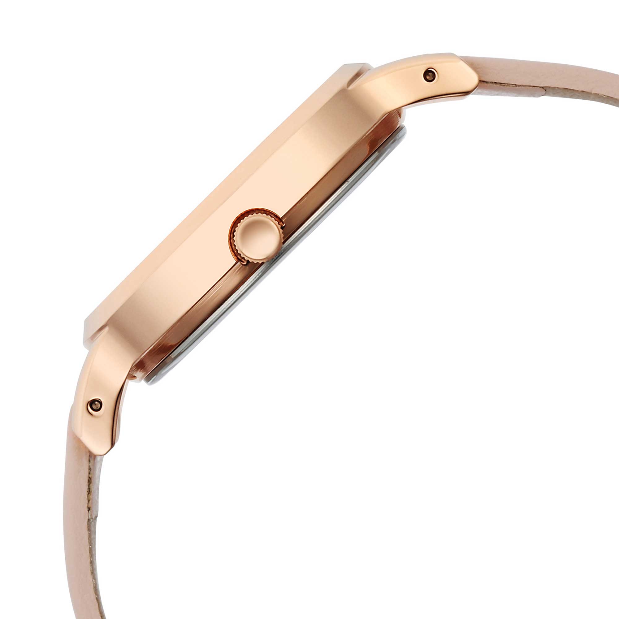 Picture of Titan Raga Viva Rose Gold Dial Watch for Women