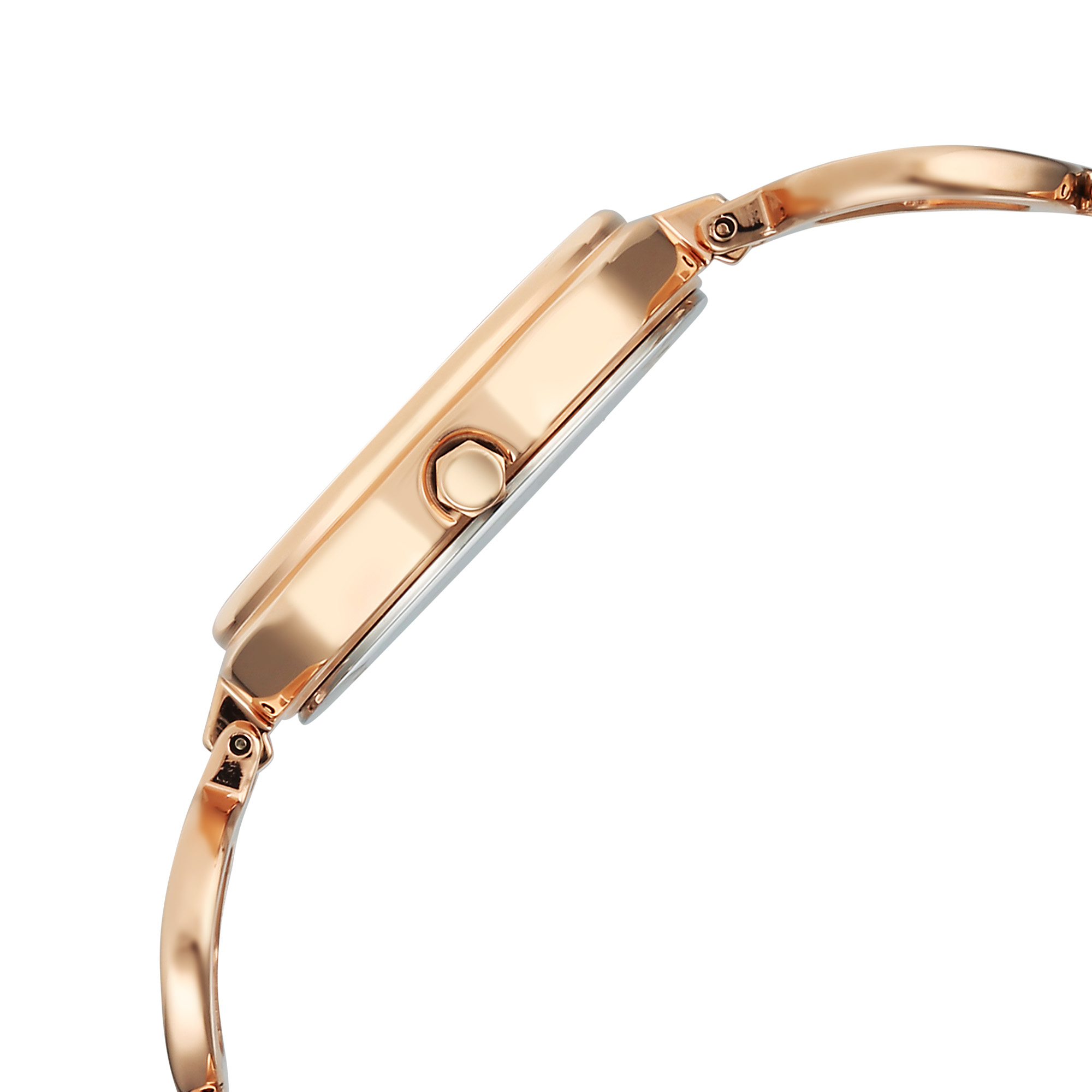 Picture of Titan Raga Round Analogue Watch for Women