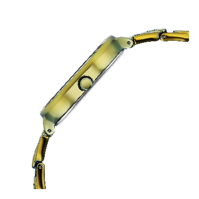 Picture of Titan Raga Chic Quartz Analog Green Dial Green Metal Strap Watch for Women