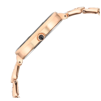 Picture of Titan Raga Chic Quartz Analog Black Dial Rose Gold Metal Strap Watch for Women