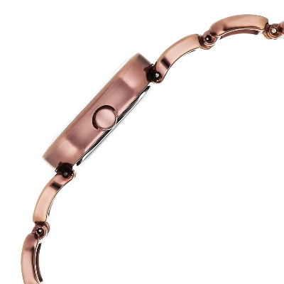 Picture of Titan Raga Ascend Quartz Analog Brown Dial With Brown Color Metal Strap Watch For Women