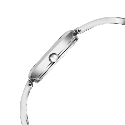 Picture of Titan TI-2727SM01 Silver Dial Women 