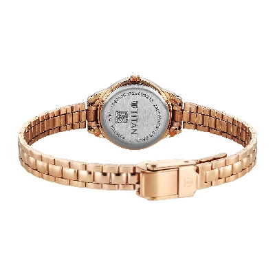 Picture of Titan Women's Watch Analog Stainless Steel Band 2401WM01