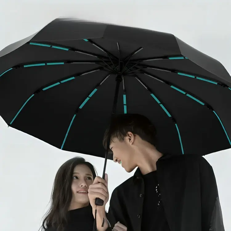 Picture of BMW Double Layer 12 Ribs Umbrella | MNK SHOP (Brown)