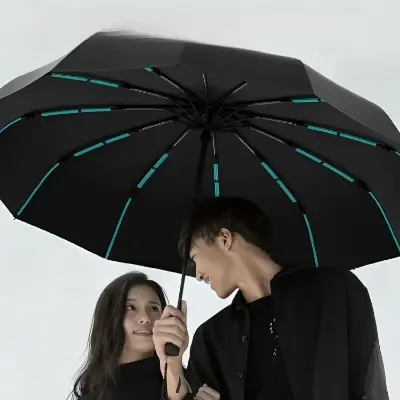 Picture of BMW Double Layer 12 Ribs Umbrella | MNK SHOP (Brown)