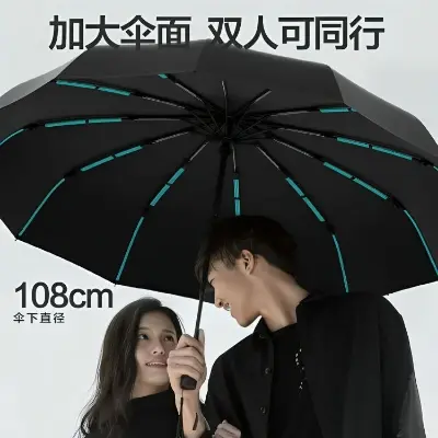 Picture of BMW Travel-Proof 12 Ribs Fold Umbrella | MNK SHOP (Black)
