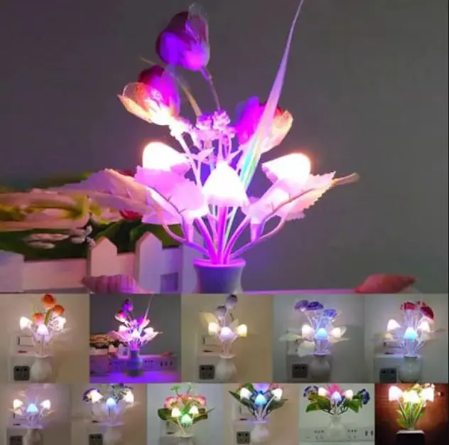 Picture of এলিগেন্ট ডিজাইন এলইডি লাইট | MNK SHOP (Multicolor)
