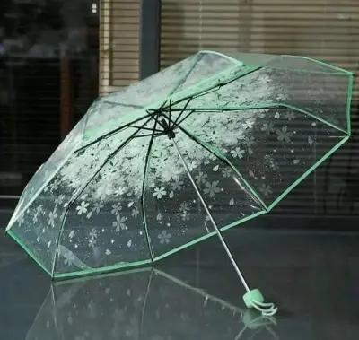 Picture of Transparent Umbrella for Boys & Girls | MNK SHOP (Purple)