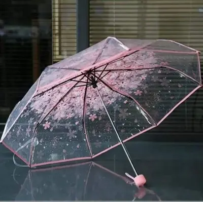 Picture of Transparent Umbrella with Subtle Color Accents | MNK SHOP (Blue)