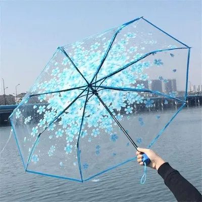 Picture of Durable Transparent Umbrella with Windproof Ribs | MNK SHOP (Blue)