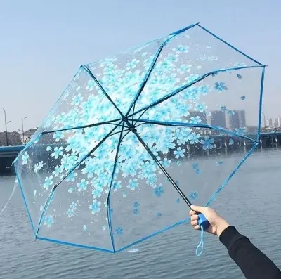 Picture of 8-Rib Umbrella with Stylish Clear Finish | MNK SHOP (Green)