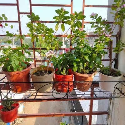 Picture of Planter Stand Flower Pot Stand For Balcony Living Room Outdoor Indoor Grill Rack-26 X 8 X 4 inches