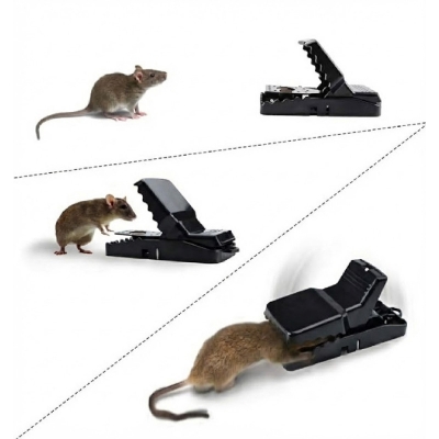 Picture of Mouse Killer Trap | Rat Trap for Home & Kitchen | Reusable Easy Mouse Catcher