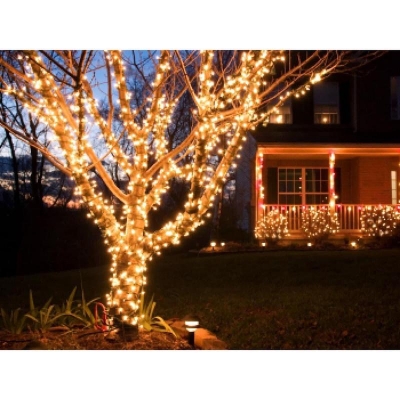 Picture of Decorative Fairy Lights - 30 Feet - Golden