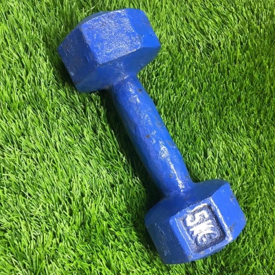 Picture of Dumbbell 5Kg Blue Fixed