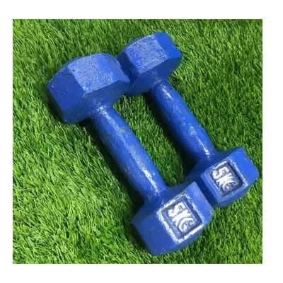 Picture of Dumbbell Set 10kg (5kg+5kg) - Blue