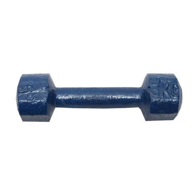 Picture of 2kg Dumbbell - Navy Blue