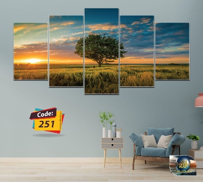 Picture of 5Pcs In 1 Set Wall Canvas Art (printing) code# 251 - Multicolor
