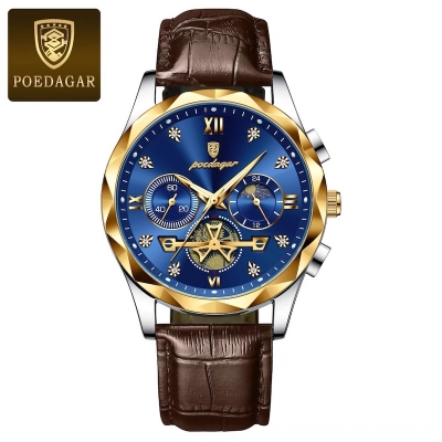 Picture of Luxury Poedagar Green Sunray Dial Watch with Day and Date Display