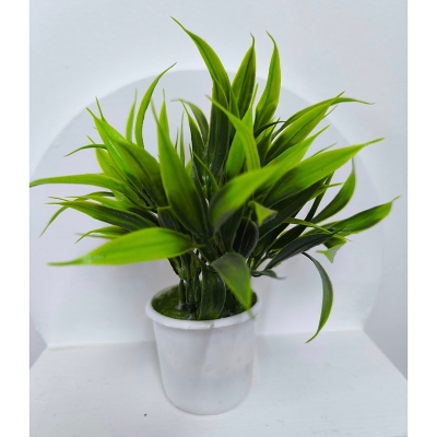 Picture of artificial flowers plan with tob