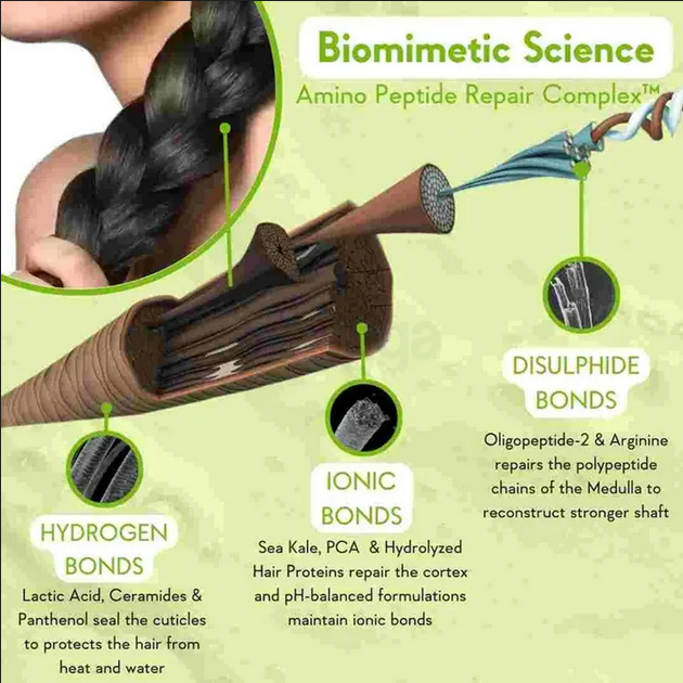 Picture of WishCare Triple Bond Repair Shampoo 250 ml